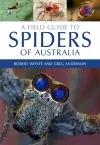 A Field Guide to Spiders of Australia cover