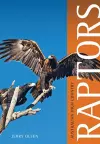 Australian High Country Raptors cover