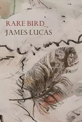 Rare Bird cover