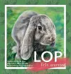 Lop Felt Worried cover