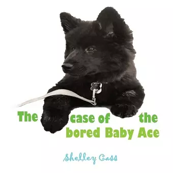 The Case of the Bored Baby Ace cover