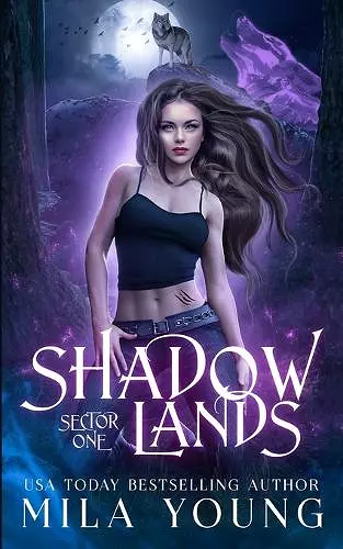 Shadowlands Sector, One cover