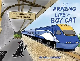 The Amazing Life of Boy Cat cover