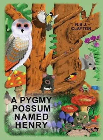 A Pygmy Possum Named Henry cover