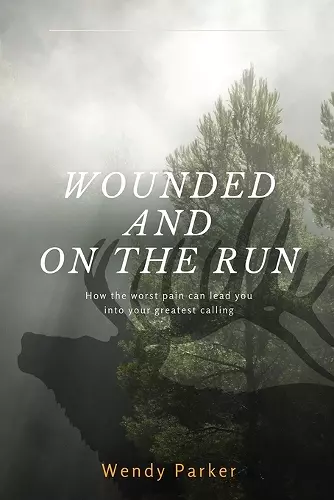 Wounded and On the Run cover