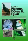 Pigeons, Doves and Quail cover