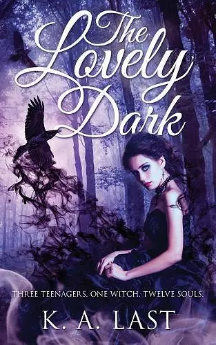 The Lovely Dark cover