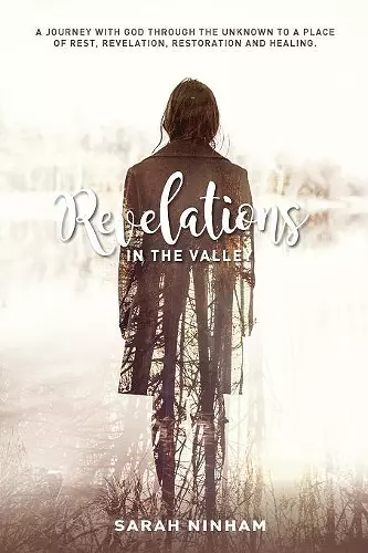 Revelations in the Valley cover