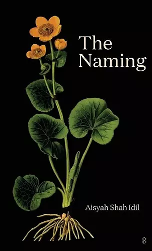 The Naming cover