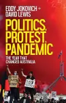 Politics, Protest, Pandemic cover