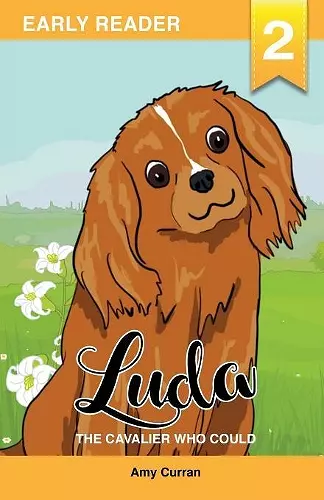 Luda the Cavalier who could cover