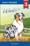 Winter the Australian Shepherd with no tail cover