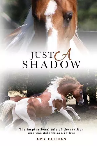 Just A Shadow cover