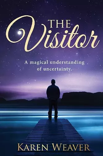 The Visitor cover