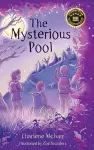 The Mysterious Pool cover