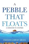 A Pebble That Floats cover