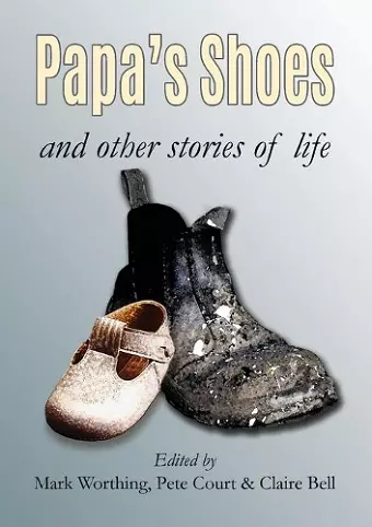 Papa's Shoes and other stories of life cover