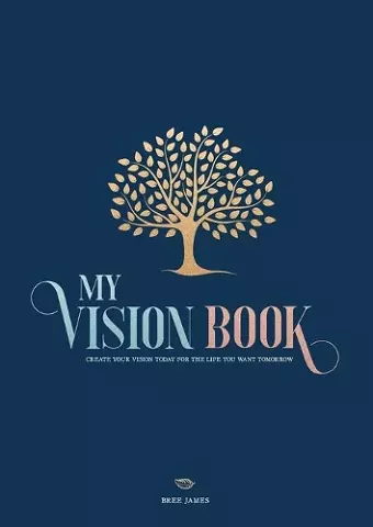 My Vision Book cover