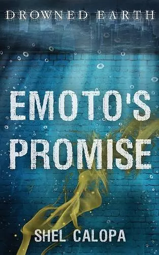 Emoto's Promise cover