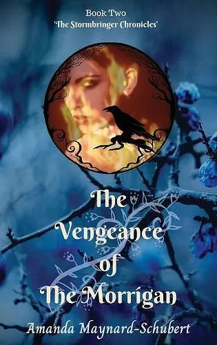 The Vengeance of The Morrigan cover