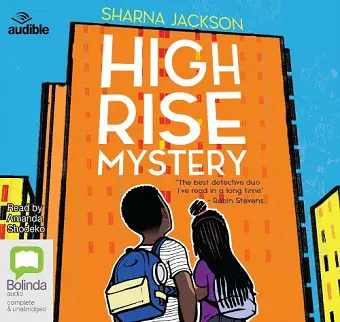 High-Rise Mystery cover