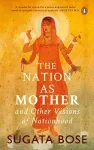 The Nation as Mother and Other Visions of Nationhood cover