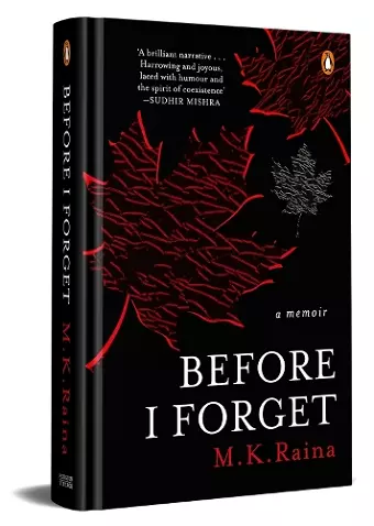 Before I Forget cover