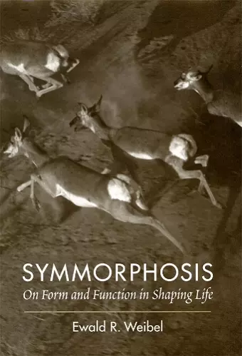 Symmorphosis cover
