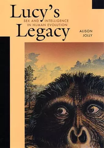 Lucy’s Legacy cover