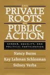 The Private Roots of Public Action cover