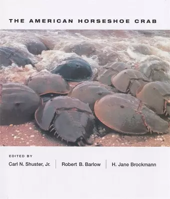 The American Horseshoe Crab cover