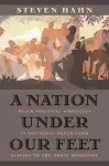 A Nation under Our Feet cover