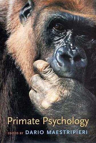 Primate Psychology cover