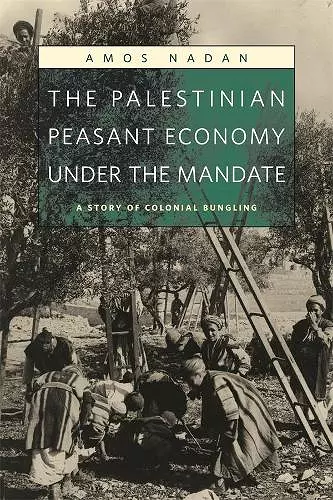 The Palestinian Peasant Economy under the Mandate cover