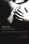 Pain and Its Transformations cover