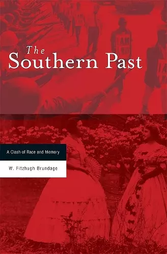 The Southern Past cover