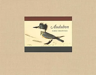 Audubon cover