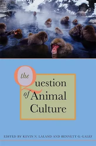 The Question of Animal Culture cover