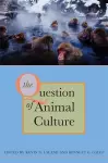 The Question of Animal Culture cover