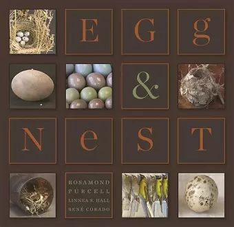 Egg & Nest cover