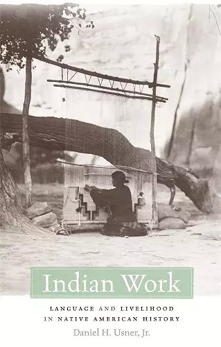 Indian Work cover