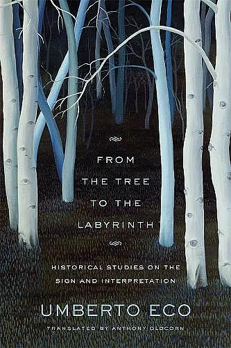 From the Tree to the Labyrinth cover