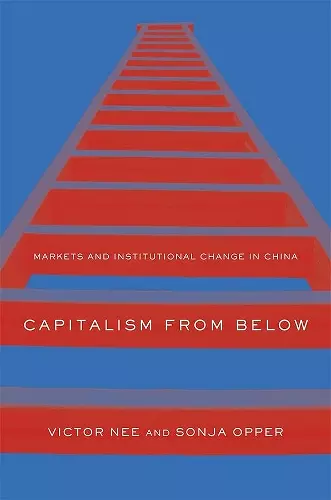 Capitalism from Below cover