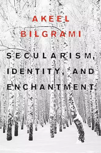 Secularism, Identity, and Enchantment cover