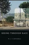 Seeing Through Race cover