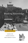 Working Knowledge cover