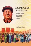 A Continuous Revolution cover