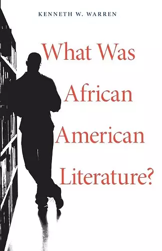 What Was African American Literature? cover