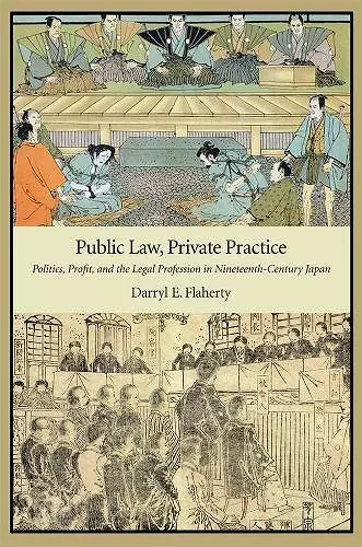 Public Law, Private Practice cover