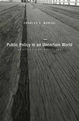 Public Policy in an Uncertain World cover